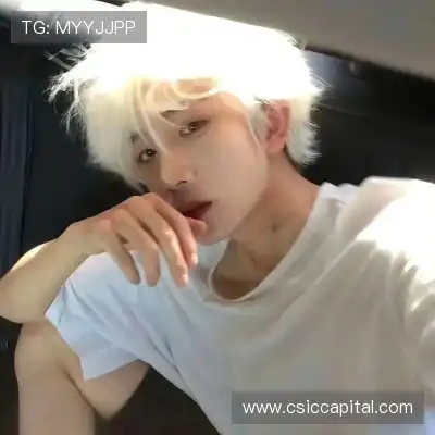 王秦准